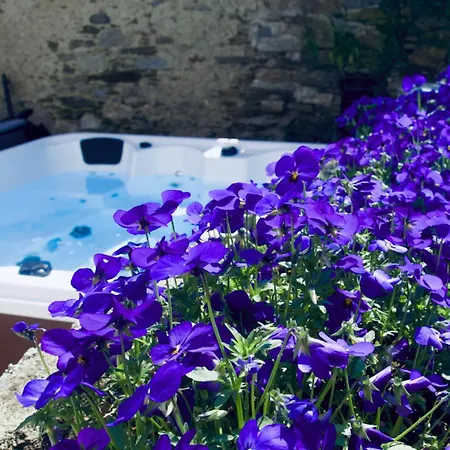 Complex Levoasi Stresa