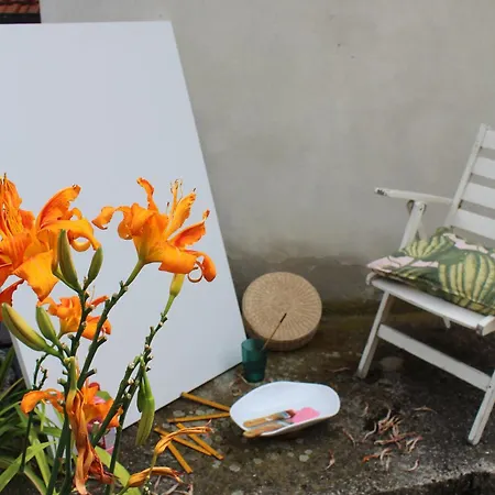 Apartamento Complex Levoasi Stresa