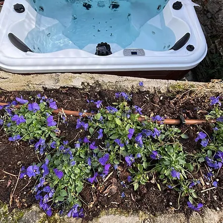 Complex Levoasi Διαμέρισμα Στρέσα