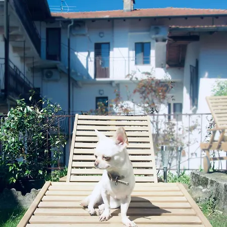 Complex Levoasi Διαμέρισμα