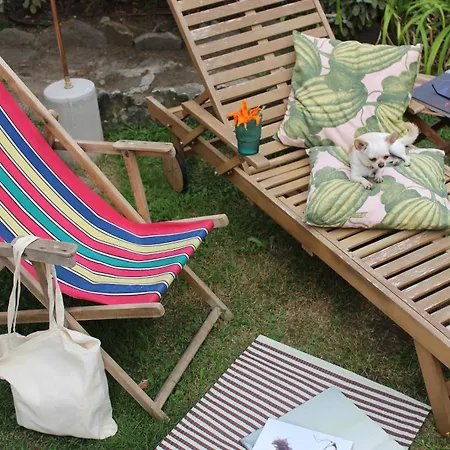 Complex Levoasi Διαμέρισμα Στρέσα